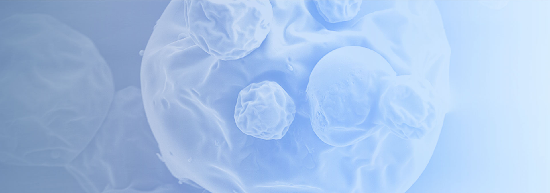 MPDD - INTERPHARMA PRAHA, a.s. MPDD - INTERPHARMA PRAHA, a.s.