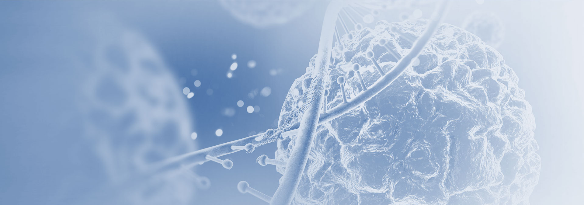 Obchod a marketing Obchod a marketing